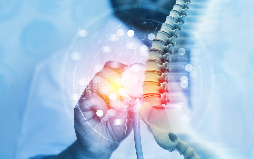 An image of a spine illustration.